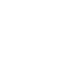 nueva_logo_szoveg_feher